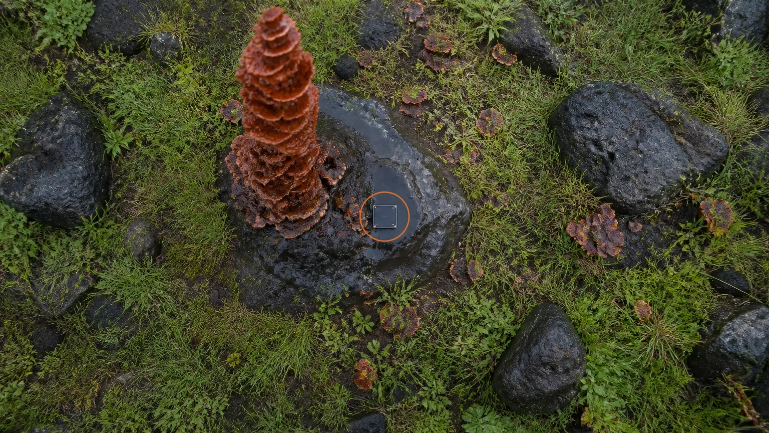 Location guide visual for Memory Chip #17 - Matango in DEATH STRANDING DIRECTOR'S CUT